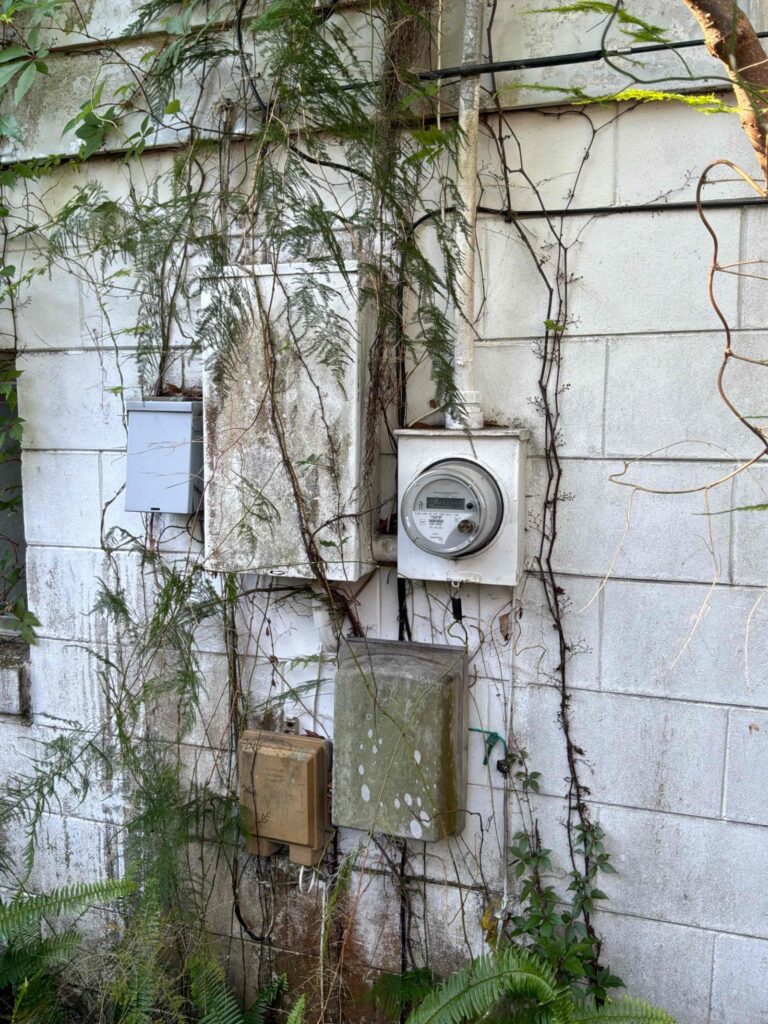 A New Panel Upgrade Leaves This Belle Isle Home Protected