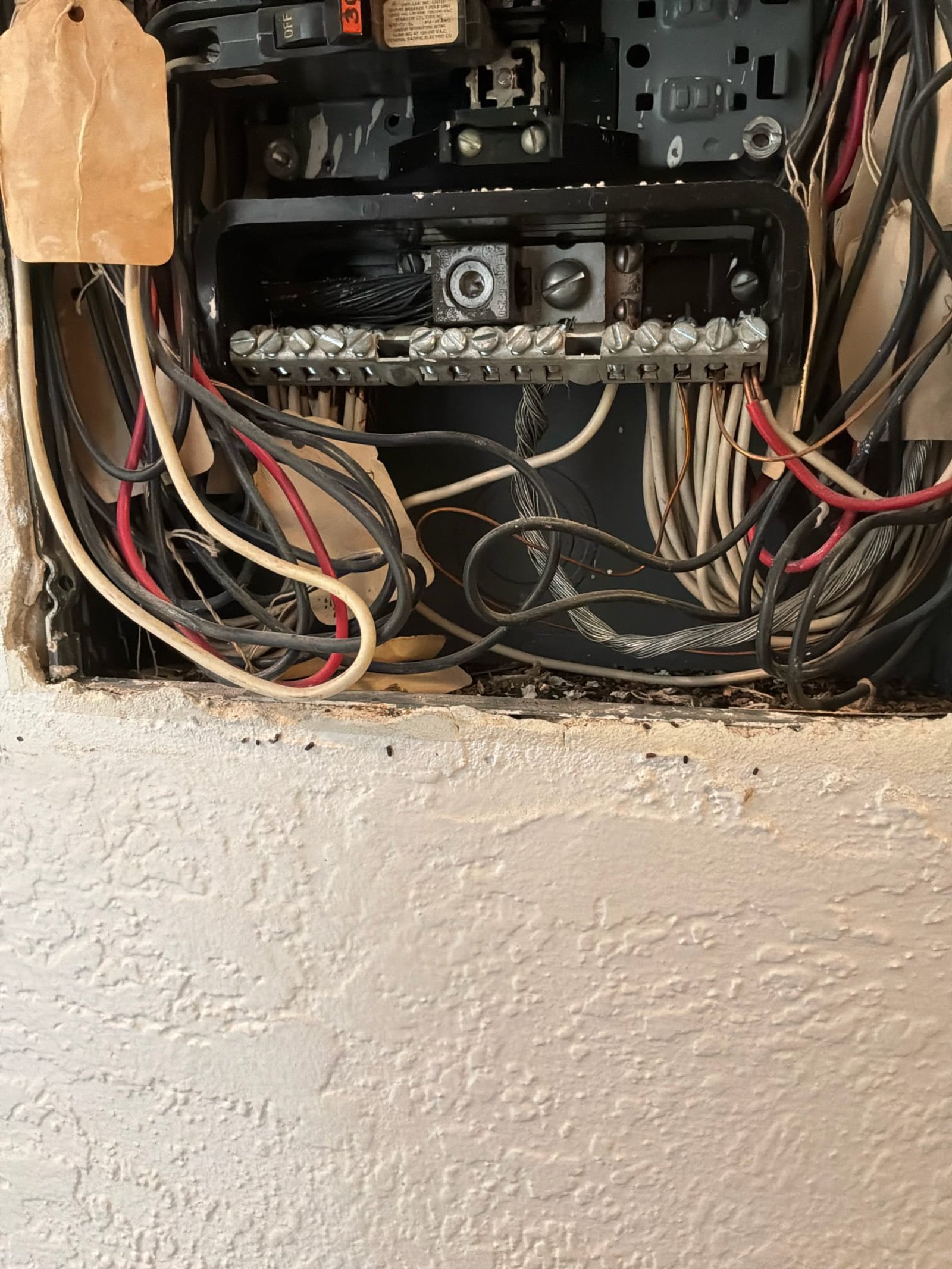 Panel neutral bus and grounding detail during the hardwiring upgrade