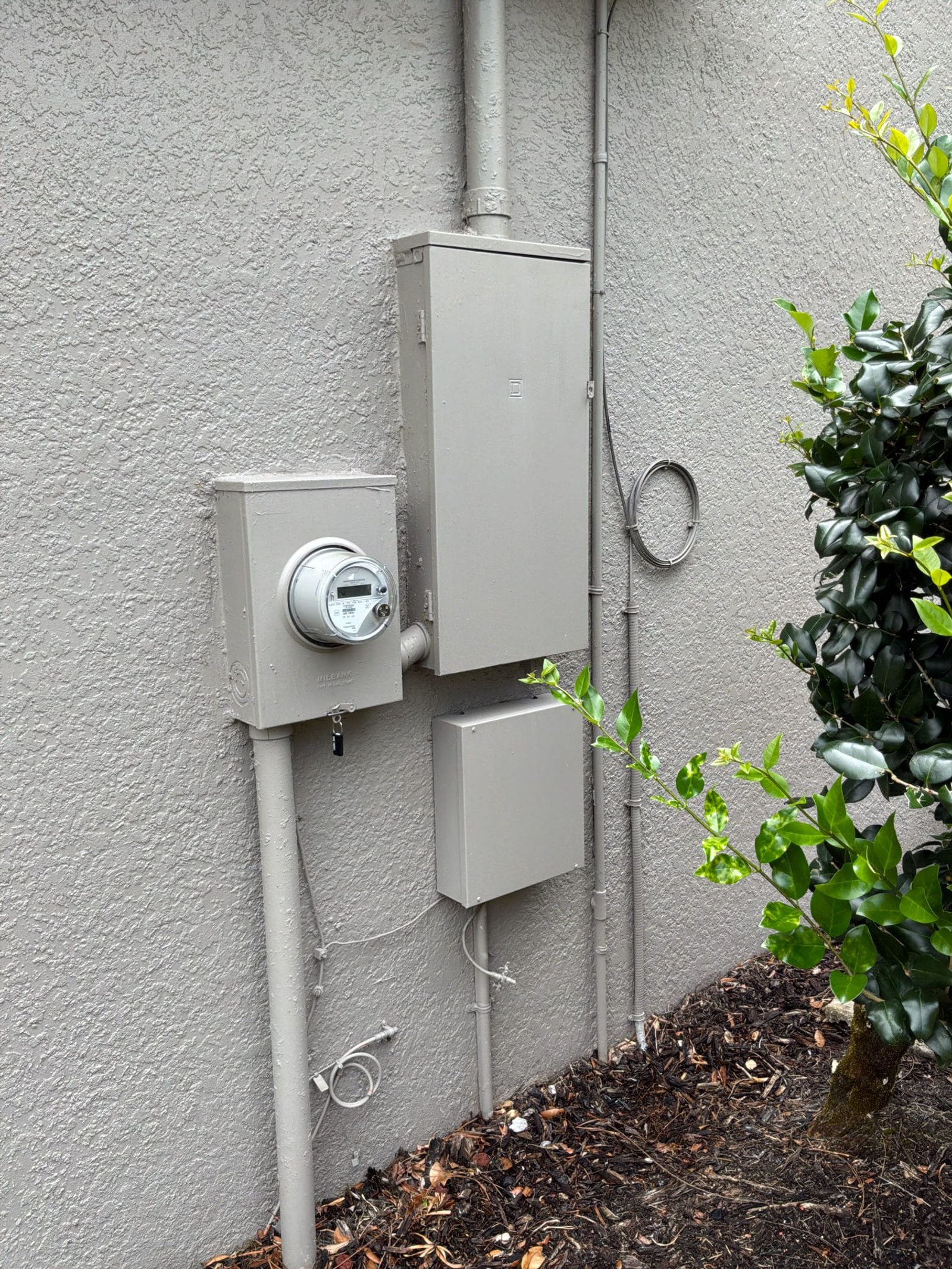 Oviedo Landscape Lighting Call Adds Surge and Detectors