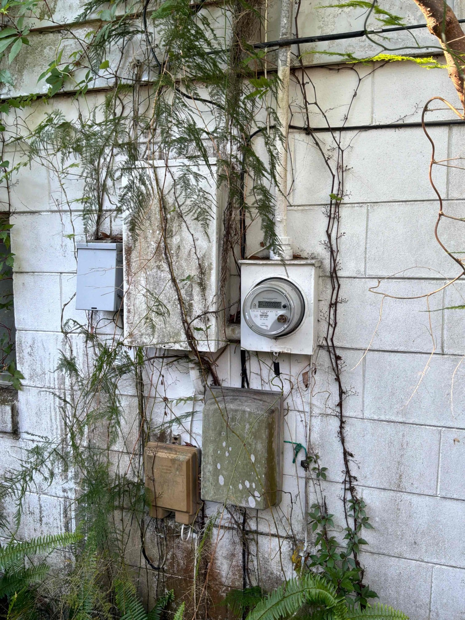 4 Hidden Problems Found in This Belle Isle Panel Upgrade