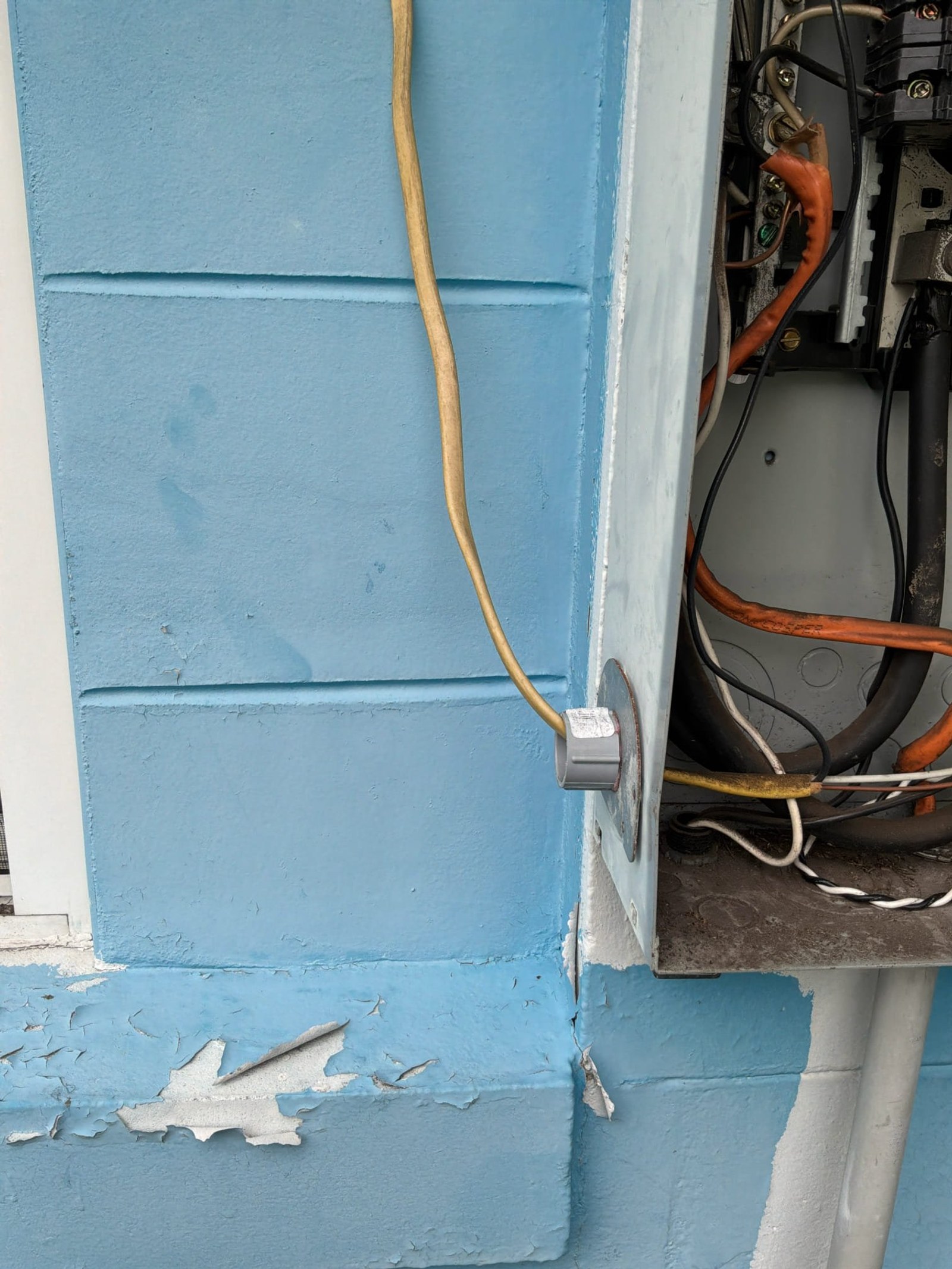 Yellow service conductor entering panel assembly with blue wall and visible internal orange-insulated cable.