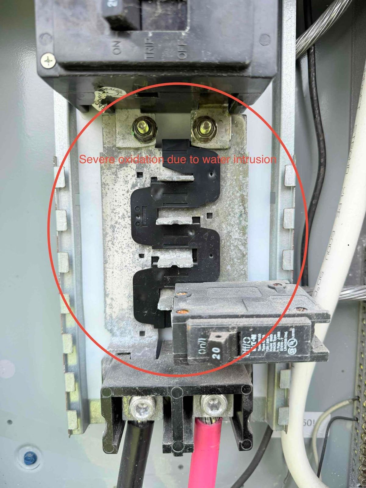 Dead Garage Outlet in Mount Dora, Fixed the Same Day