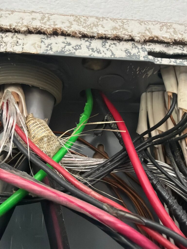 Color-coded conductors inside a residential panel: green ground, red and black hot legs, white neutral.