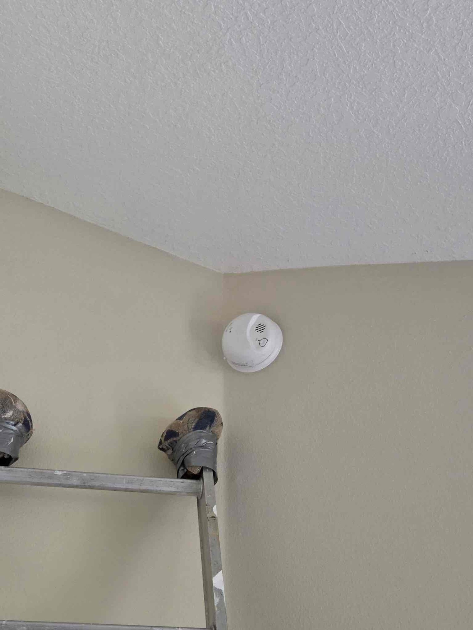 Lake Mary Panel Rejuvenation Plus New Smoke Detectors
